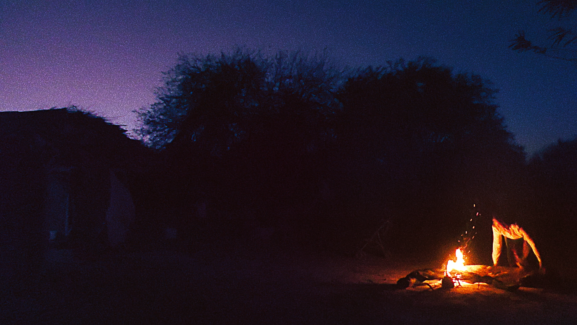 PORQUE UN AMIGO VINO A MIÌ ESTE DIÌA 1 Rodrigo Montani